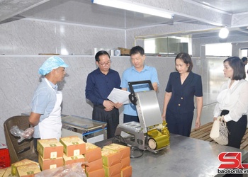Hỗ trợ ứng dụng máy móc thiết bị sản xuất, chế biến sữa chua khô