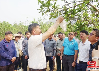 Hợp tác phát triển nông nghiệp với các tỉnh nước bạn Lào