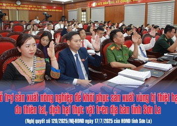 Hỗ trợ sản xuất nông nghiệp để khôi phục sản xuất vùng bị thiệt hại do thiên tai, dịch hại thực vật trên địa bàn tỉnh Sơn La