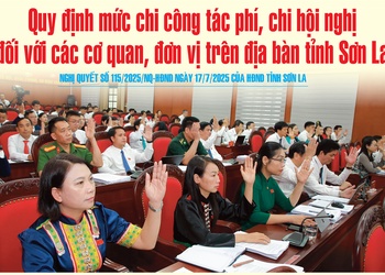 Nghị quyết số 115/2025/NQ-HĐND