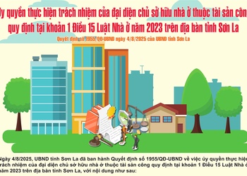 Quyết định số 1955/QĐ-UBND 