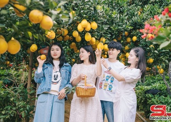 Phát triển nông nghiệp gắn với du lịch trải nghiệm