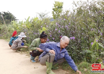 Xây dựng gia đình “5 không, 3 sạch” tại xã Mường Chanh