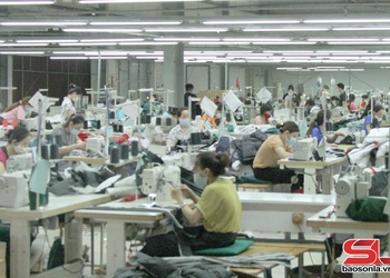Tường Hạ hỗ trợ, tư vấn việc làm cho lao động