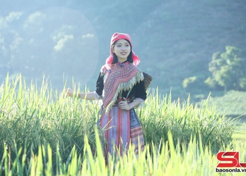 Phát triển nông nghiệp gắn với du lịch