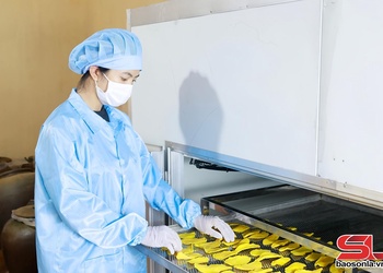 Ứng dụng công nghệ trong bảo quản, chế biến nông sản