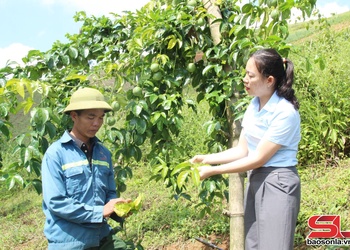 Mở đường cho nông sản vươn ra thị trường quốc tế