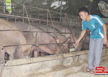 Phát huy vai trò Hội nông dân trong tái cơ cấu nông nghiệp