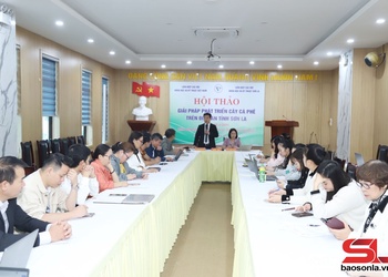 Thúc đẩy phát triển cà phê bền vững