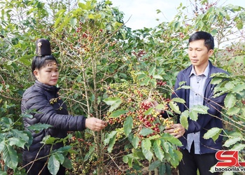 Đảng viên xã Mường Chanh tiên phong gương mẫu