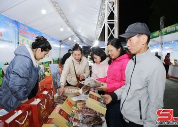 Đưa kinh tế tập thể thành động lực phát triển bền vững