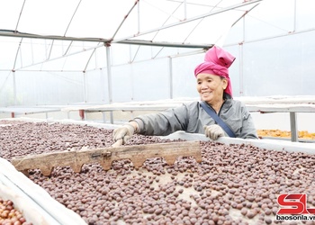 Xúc tiến, hỗ trợ “Đi cùng nhà đầu tư”