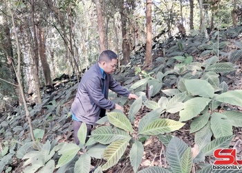 Đồng hành cùng nông dân phát triển kinh tế