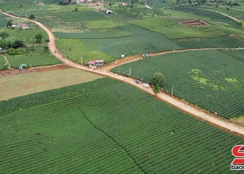 Bình Thuận chuyển dịch cơ cấu kinh tế