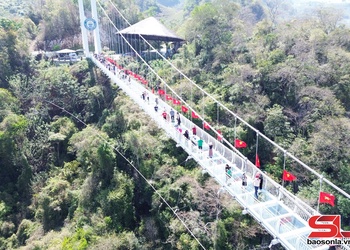 Du lịch một năm khởi sắc