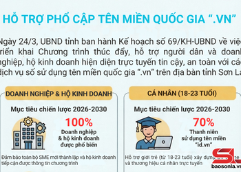 Hỗ trợ phổ cập tên miền quốc gia “.vn”