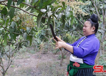 Giúp phụ nữ phát triển kinh tế