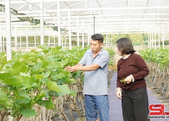 Chủ động ứng phó với nắng nóng, hạn hán