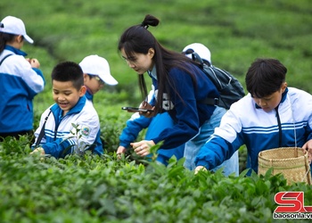 “Siêu vườn trường” giúp học sinh trải nghiệm quy trình sản xuất chè