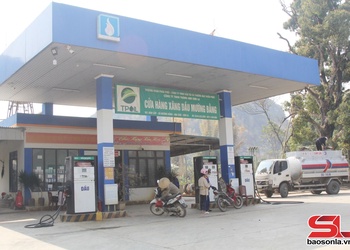 Sẵn sàng chuyển đổi sử dụng xăng sinh học