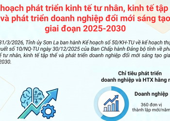 Kế hoạch phát triển kinh tế tư nhân, kinh tế tập thể và phát triển doanh nghiệp đổi mới sáng tạo giai đoạn 2025-2030