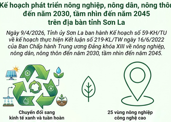 Kế hoạch phát triển nông nghiệp, nông dân, nông thôn đến năm 2030, tầm nhìn đến năm 2045 trên địa bàn tỉnh Sơn La