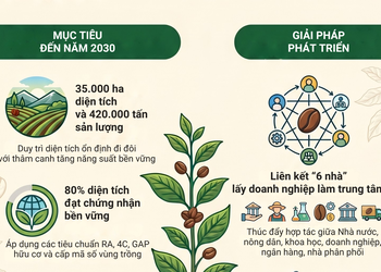 Sản xuất, chế biến, tiêu thụ cà phê bền vững theo hướng sinh thái trên địa bàn tỉnh Sơn La đến năm 2030, định hướng đến năm 2035