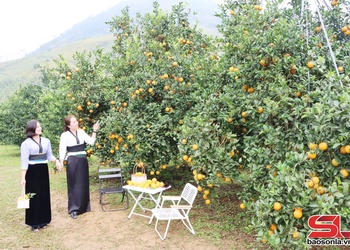 Đánh thức tiềm năng du lịch Mường Cơi