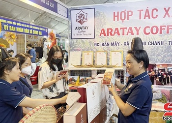 Cà phê Arabica Sơn La phát triển theo chuỗi đa giá trị