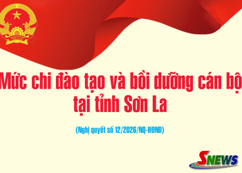 Mức chi đào tạo và bồi dưỡng cán bộ tại tỉnh Sơn La