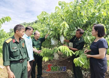 Đổi mới tư duy, phát triển kinh tế tập thể vững mạnh