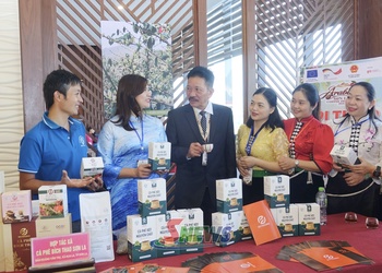 Phát triển cà phê bền vững theo hướng sinh thái