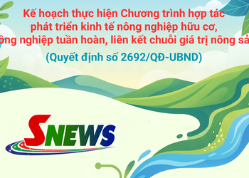 Kế hoạch thực hiện Chương trình hợp tác phát triển kinh tế nông nghiệp hữu cơ, nông nghiệp tuần hoàn, liên kết chuỗi giá trị nông sản