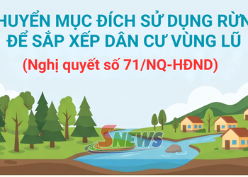 Chuyển mục đích sử dụng rừng để sắp xếp dân cư vùng lũ