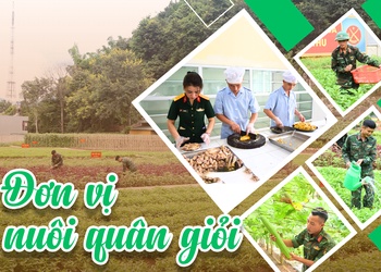 Đơn vị nuôi quân giỏi