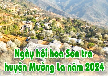 Ngày hội hoa Sơn tra huyện Mường La năm 2024