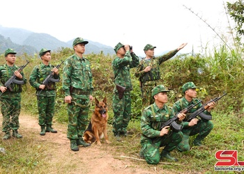 Phòng, chống ma túy trên dãy Pha Luông