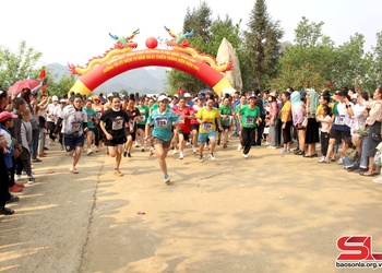 Hơn 1.000 vận động viên tham gia Giải chạy Olympic 