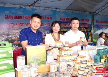 Viên hà thủ ô mật ong rừng Sốp Cộp sản phẩm OCOP tiêu biểu
