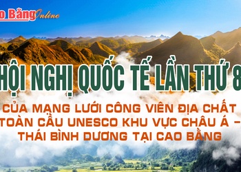 Hội nghị Quốc tế lần thứ 8