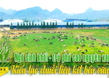 NGÔ SINH KHỐI - TRÙ PHÚ CAO NGUYÊN XANH: KỲ 2: Kiến tạo chuỗi liên kết