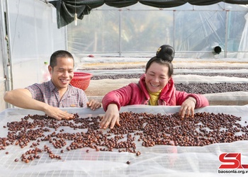 Thu hút đầu tư, nâng cao giá trị nông sản