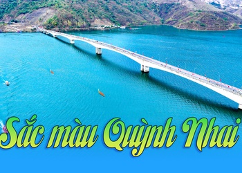 Sắc màu Quỳnh Nhai