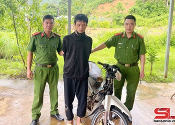 Bắt giữ đối tượng trộm cắp xe máy