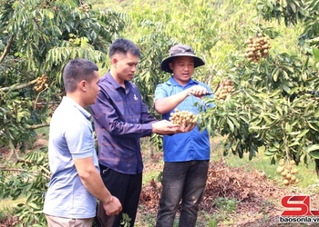 Tuổi trẻ tích cực phát triển kinh tế