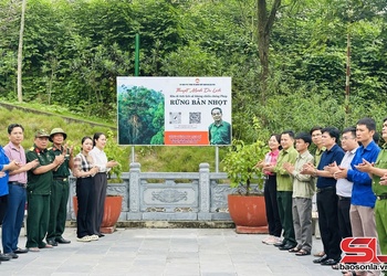Khánh thành công trình du lịch số tại Khu di tích lịch sử kháng chiến chống Pháp, rừng bản Nhọt