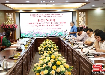 Ban Pháp chế thẩm tra các nội dung trình Kỳ họp chuyên đề thứ 33