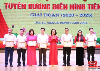 Sở Văn hóa, Thể thao và Du lịch tuyên dương 20 điển hình tiên tiến  