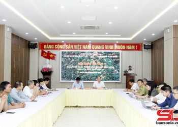 Hội thảo tư vấn “Giải pháp phát triển lâm nghiệp bền vững trên địa bàn tỉnh Sơn La”