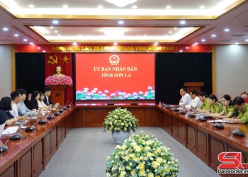 Nghiên cứu tiền khả thi dự án REDD+ tại Sơn La
